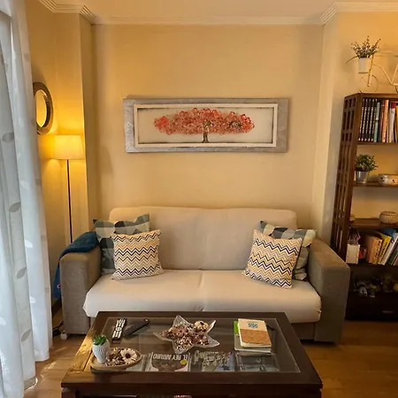 Centrico Apartamento. Parking Incl. Apartment