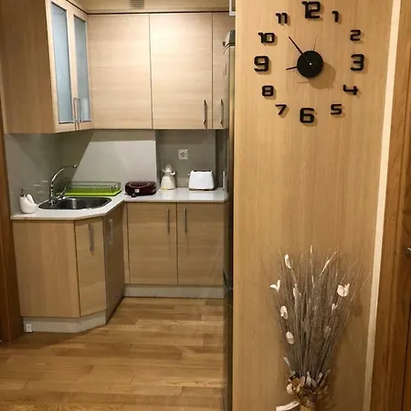 Centrico Apartamento. Parking Incl. * Vigo